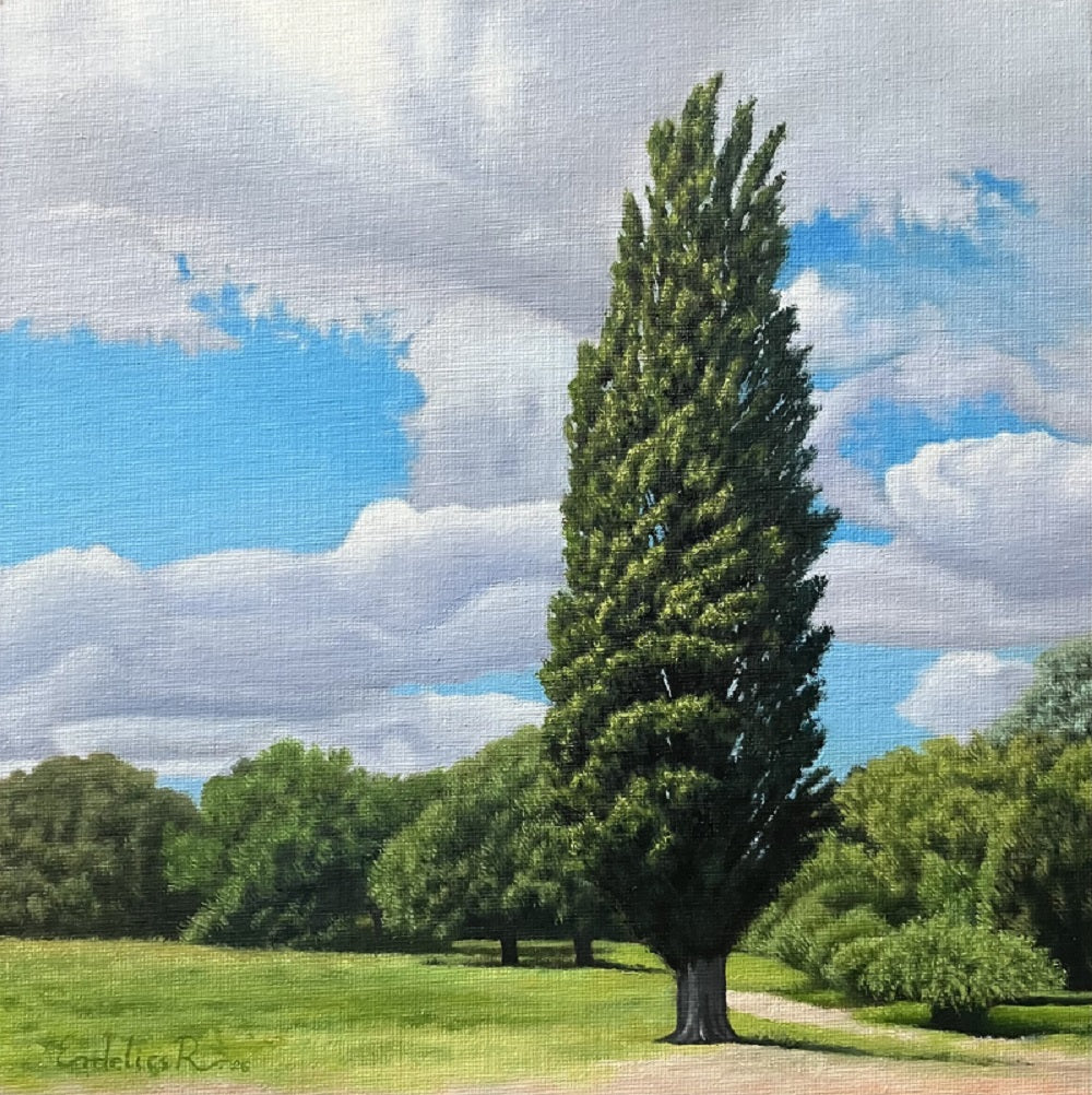 Poplar Tree - Fine Art Print
