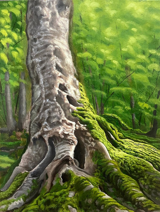 Mossy Tree Trunk in Sunlight - Fine Art Print