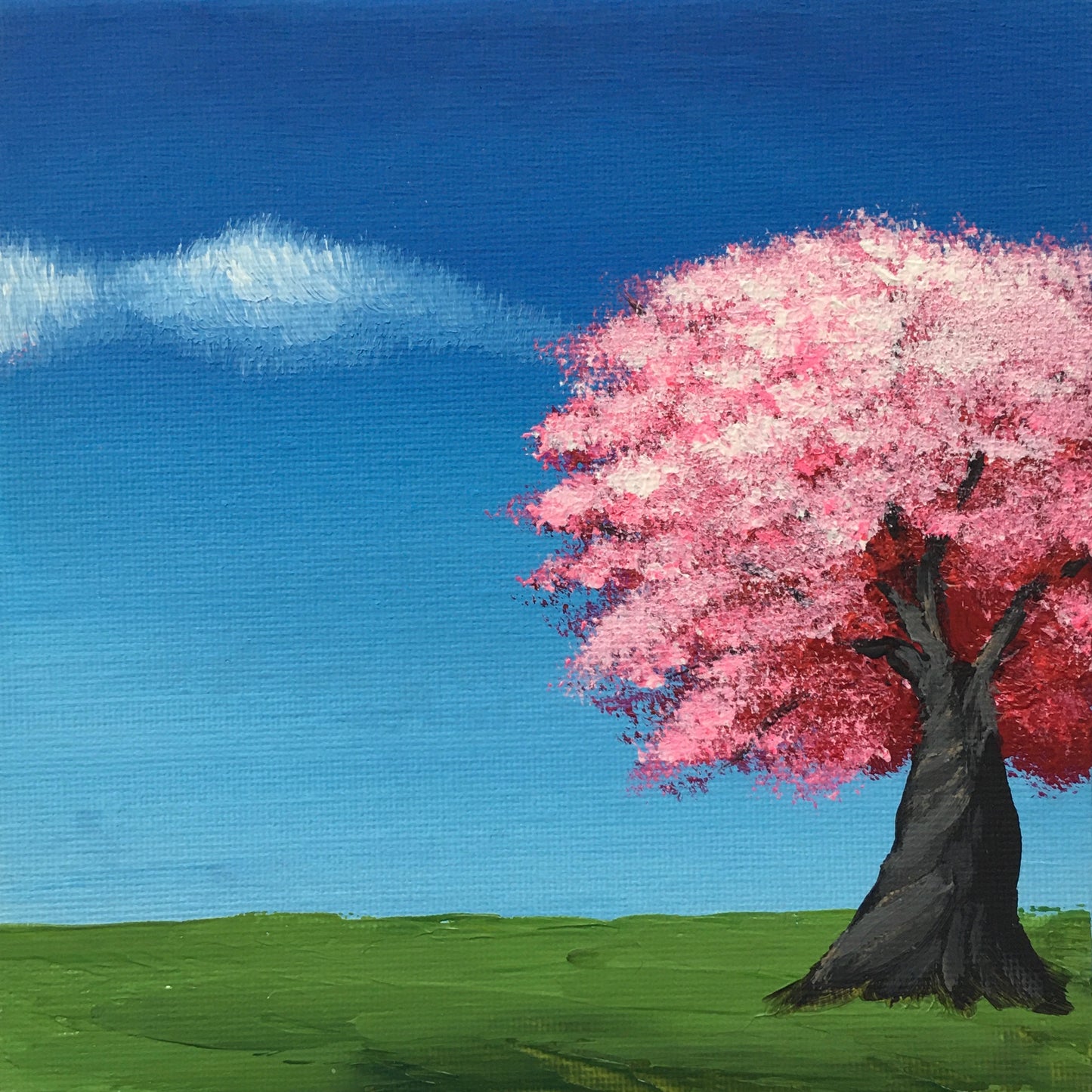 Cherry Blossom - Print